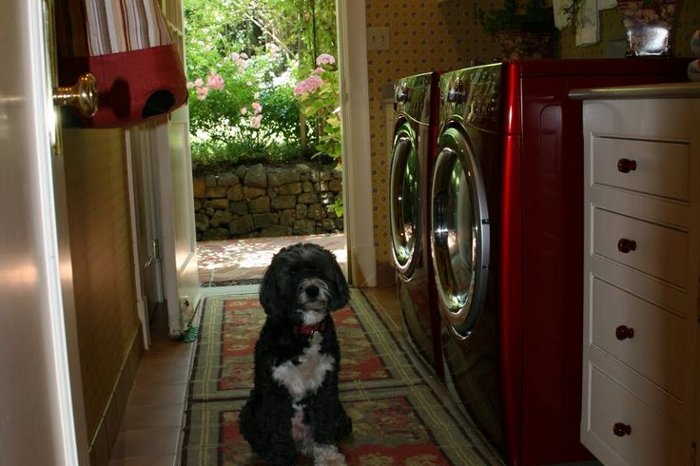 Wiatrołap z pralką.